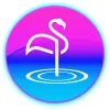 Pink Flamingo Pool