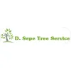 Sepe Tree Service
