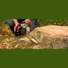 Markley's Tree Service