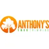 Anthony's Tree Trimming