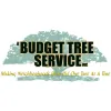 A Budget Tree Service