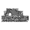 Tavares Construction