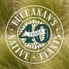 Buchanan's Native Plants