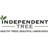Independent Tree