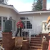 Kelly's Stump Removal