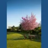 AF Landscaping