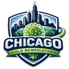 Chicago Mold Remediators