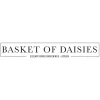 Basket of Daisies