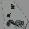 Georgia Wildlife Removal