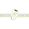 Executive Landscape