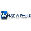 What A Pane Window Cleaning