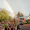 Blue Moon Garden & Nursery