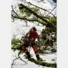 Hardin's Tree Service