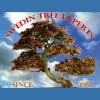 A Swedin Tree Expert