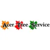 Acer Tree Service