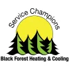 Black Forest Heating