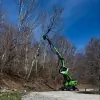 State Tree Services