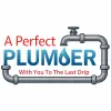 A Perfect Plumber