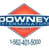 Downey Exterminators