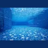 Clear Water Pools