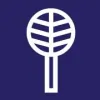 Professional Property Maintenance