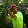 Man Vs Tree
