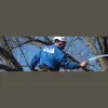 Halas Arborists