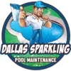 Swimming Pool Maintenance Dallas