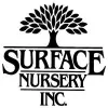 Surface Nursery