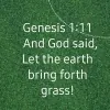 Adonai Lawns
