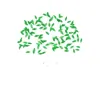 Parkhill Tree & Land Management