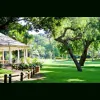 Fredericksburg Lawn Care