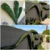 Organic Landscape Service