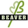 Beaver Creative Environments