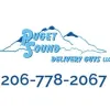Puget Sound Delivery Guys