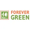 Forever Green