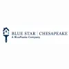 Blue Star Paint