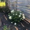 Silver Lining Landscaping