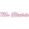 Mr. Electric