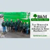 B & M Tree Service