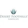 Desert Foothills Landscape
