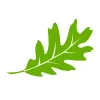 Northway Landscaping