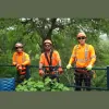 Canopy Tree Service