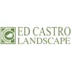 Ed Castro Landscape