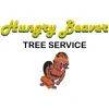 Hungry Beaver Tree Service