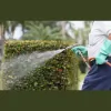 Reliable Pest Control