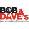 Bob & Dave's Lawn & Landscape