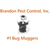 Brandon Pest Control