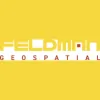 Feldman Geospatial