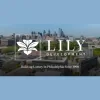 Lily Development